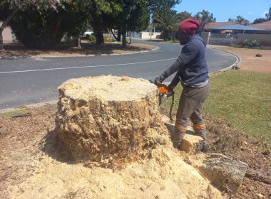 WhatsApp Image 2026-02-07 at 11.51.18