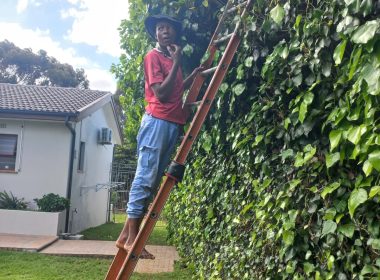 WhatsApp Image 2026-02-07 at 12.01.55