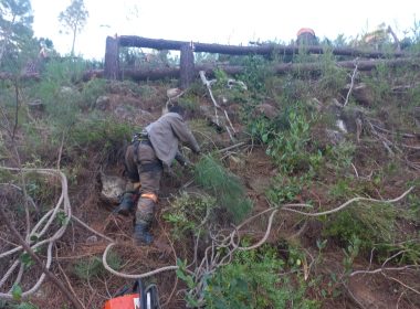 WhatsApp Image 2026-02-07 at 12.02.00