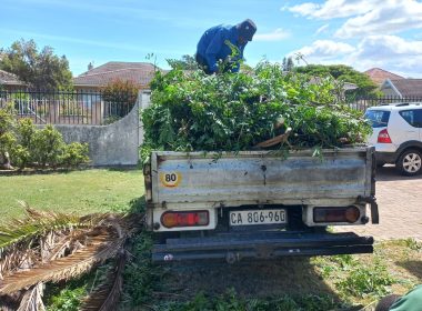 WhatsApp Image 2026-02-07 at 12.02.15 (1)