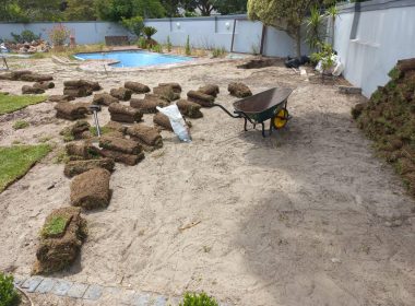 WhatsApp Image 2026-02-07 at 12.02.29